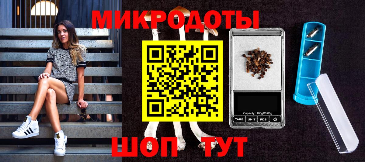 Псилоцибиновые грибы мухоморы Боровичи
