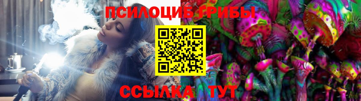 Боровичи  Псилоцибиновые грибы MAGIC MUSHROOMS  Вход с VPN 
